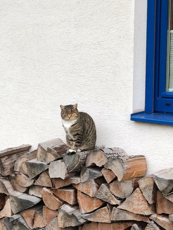 Haus Sonnenweg Villa Mariapfarr Eksteriør billede